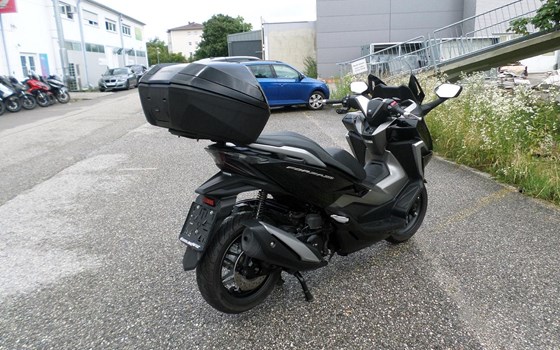 Gebrauchtmotorrad Honda Forza 350 - Bild 3 Gebrauchtmotorrad Honda Forza 350 - Bild 3