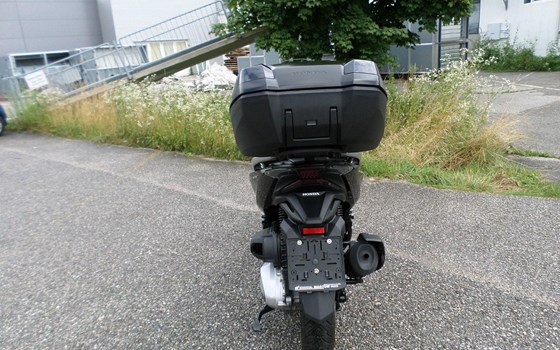 Gebrauchtmotorrad Honda Forza 350 - Bild 4 Gebrauchtmotorrad Honda Forza 350 - Bild 4