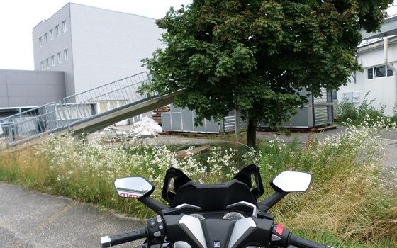 Gebrauchtmotorrad Honda Forza 350 - Bild 9