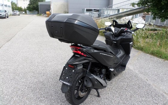 Gebrauchtmotorrad Honda Forza 350 - Bild 3 Gebrauchtmotorrad Honda Forza 350 - Bild 3