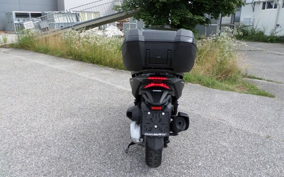 Gebrauchtmotorrad Honda Forza 350 - Bild 4 Gebrauchtmotorrad Honda Forza 350 - Bild 4