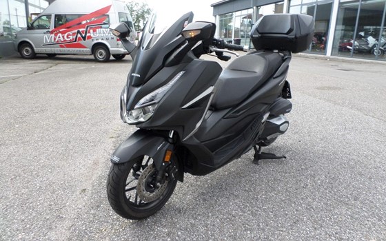 Gebrauchtmotorrad Honda Forza 350 - Bild 7 Gebrauchtmotorrad Honda Forza 350 - Bild 7