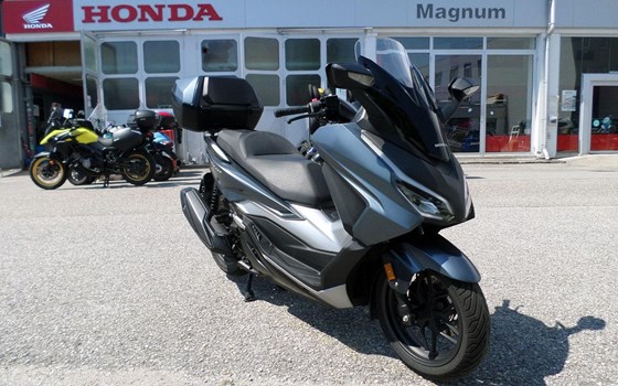 Gebrauchtmotorrad Honda Forza 350 - Bild 1 Gebrauchtmotorrad Honda Forza 350 - Bild 1