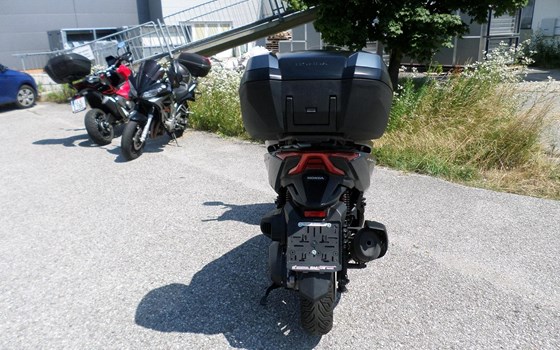 Gebrauchtmotorrad Honda Forza 350 - Bild 4 Gebrauchtmotorrad Honda Forza 350 - Bild 4
