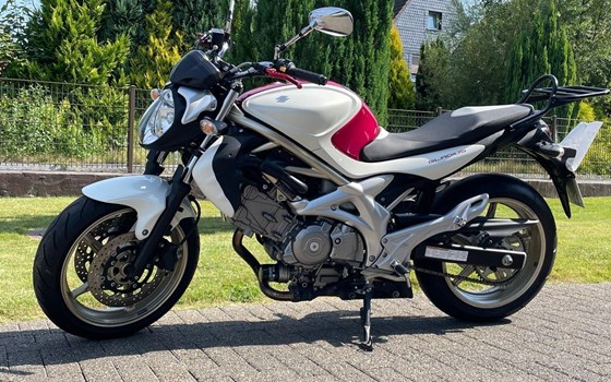 Gebrauchtmotorrad Suzuki SFV 650 Gladius - Bild 1