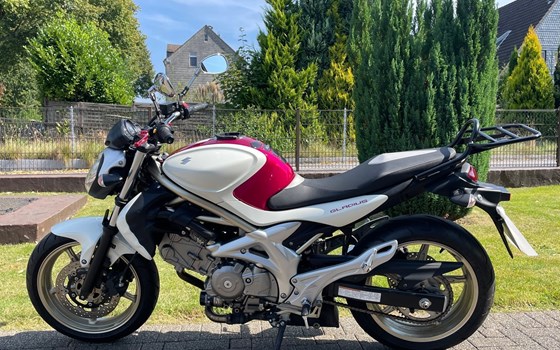 Gebrauchtmotorrad Suzuki SFV 650 Gladius - Bild 4