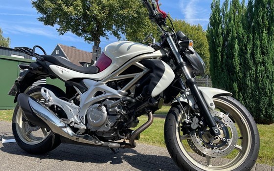 Gebrauchtmotorrad Suzuki SFV 650 Gladius - Bild 6