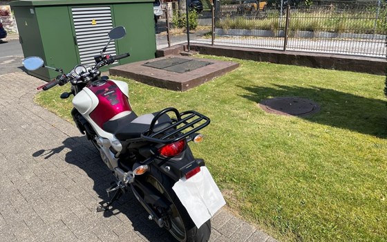 Gebrauchtmotorrad Suzuki SFV 650 Gladius - Bild 7