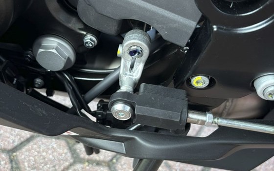 Neufahrzeug Aprilia RS 125 Replica - Bild 8