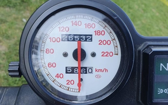 Gebrauchtmotorrad Ducati Monster 900 - Bild 4