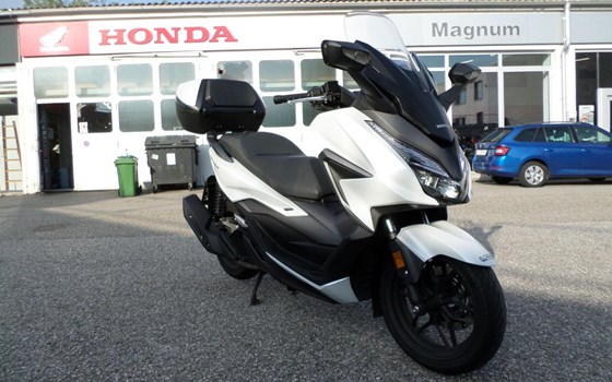 Gebrauchtmotorrad Honda Forza 125 - Bild 1 Gebrauchtmotorrad Honda Forza 125 - Bild 1