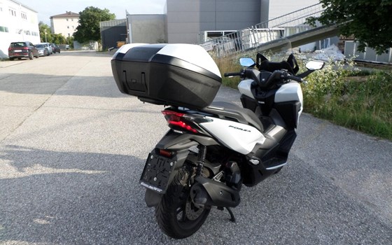 Gebrauchtmotorrad Honda Forza 125 - Bild 3 Gebrauchtmotorrad Honda Forza 125 - Bild 3