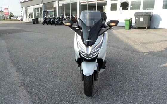 Gebrauchtmotorrad Honda Forza 300 - Bild 8