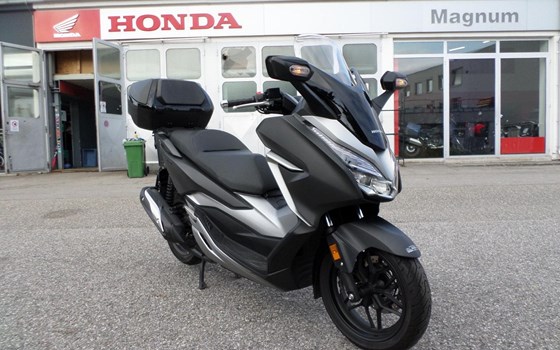 Gebrauchtmotorrad Honda Forza 300 - Bild 1 Gebrauchtmotorrad Honda Forza 300 - Bild 1