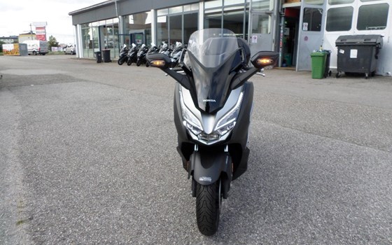 Gebrauchtmotorrad Honda Forza 300 - Bild 8 Gebrauchtmotorrad Honda Forza 300 - Bild 8
