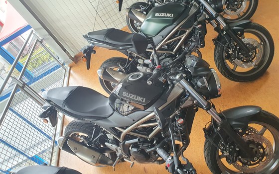 Neufahrzeug Suzuki SV650 - Bild 3