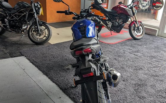Neufahrzeug Suzuki SV650 - Bild 4