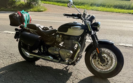 Motorrad Occasion Triumph Bonneville Speedmaster - Bild 1