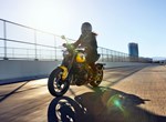 Angebot Triumph Trident 660