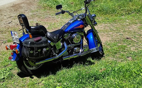 Gebrauchtmotorrad Harley-Davidson Softail Standard FXST - Bild 1 Gebrauchtmotorrad Harley-Davidson Softail Standard FXST - Bild 1