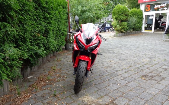 Gebrauchtmotorrad Honda CBR650R - Bild 2