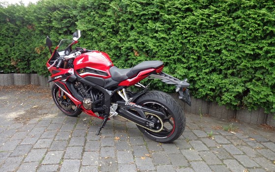 Gebrauchtmotorrad Honda CBR650R - Bild 6