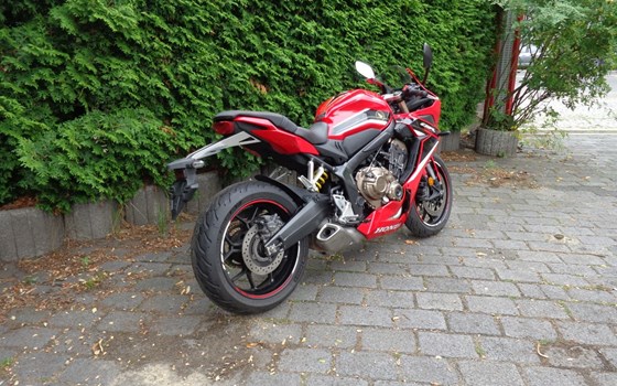 Gebrauchtmotorrad Honda CBR650R - Bild 8