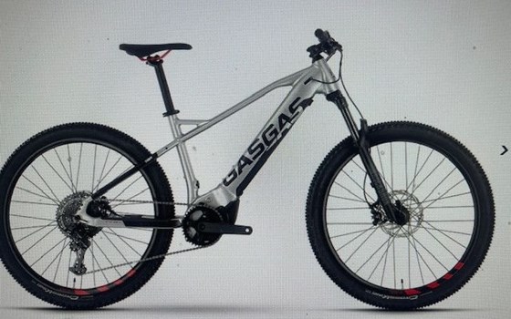 Neufahrzeug GASGAS TRA - Bild 1