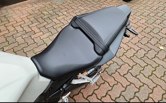 Neufahrzeug Honda CB650R E-Clutch - Bild 10