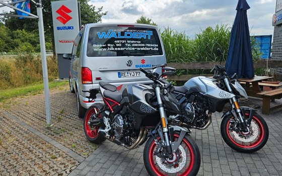 Neufahrzeug Suzuki GSX-8S - Bild 1