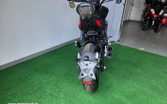 Neufahrzeug Benelli 502 C - Bild 11