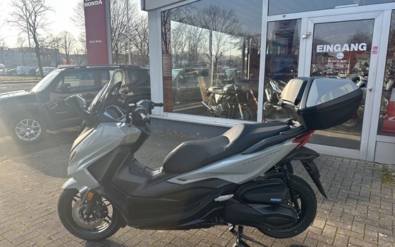 Neufahrzeug Honda Forza 350 - Bild 2