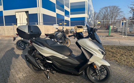 Neufahrzeug Honda Forza 350 - Bild 4