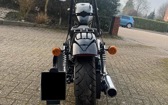 Gebrauchtmotorrad Harley-Davidson Sportster XL 1200X Forty-Eight - Bild 2 Gebrauchtmotorrad Harley-Davidson Sportster XL 1200X Forty-Eight - Bild 2