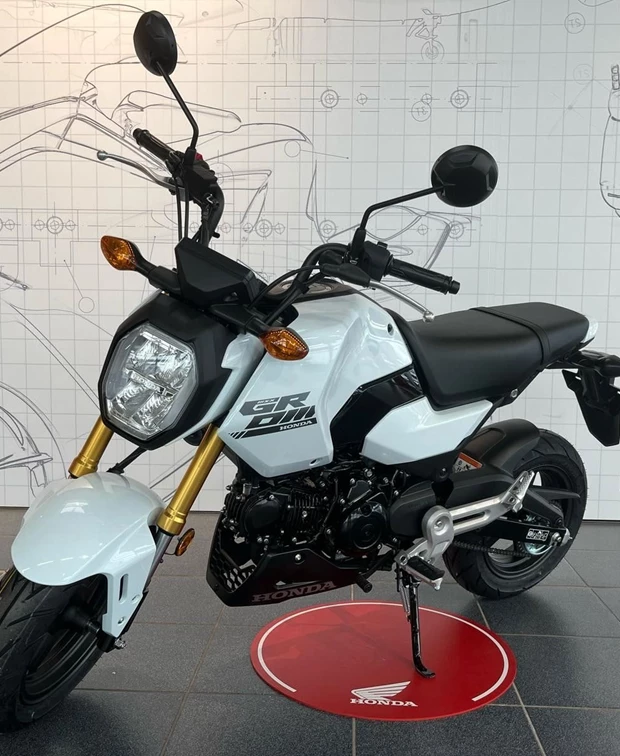 Honda MSX125 Grom<br />