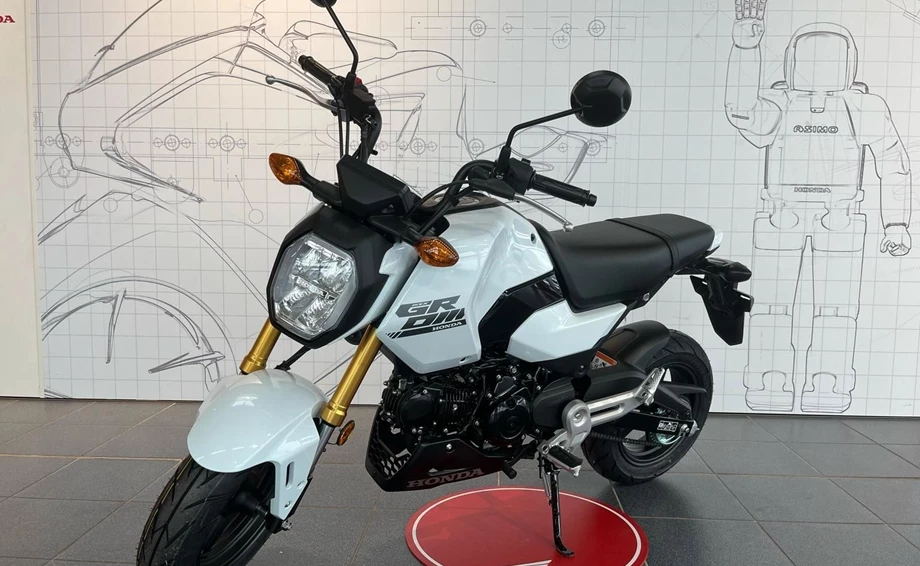 Angebot Honda MSX125 Grom Bild 1: Angebot Honda MSX125 Grom