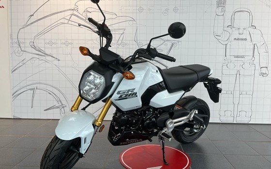 Neufahrzeug Honda MSX125 Grom - Bild 1