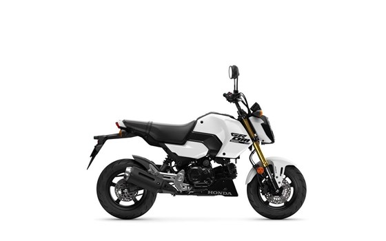 Neufahrzeug Honda MSX125 Grom - Bild 13