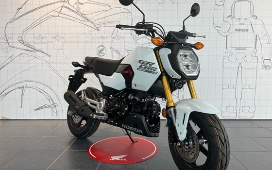 Neufahrzeug Honda MSX125 Grom - Bild 2
