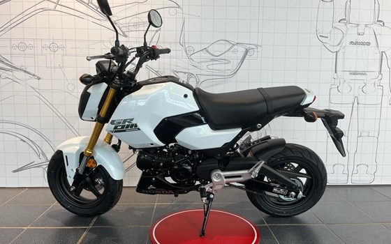 Neufahrzeug Honda MSX125 Grom - Bild 3