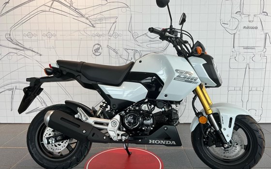 Neufahrzeug Honda MSX125 Grom - Bild 4