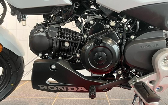 Neufahrzeug Honda MSX125 Grom - Bild 6
