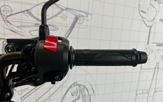 Neufahrzeug Honda MSX125 Grom - Bild 9