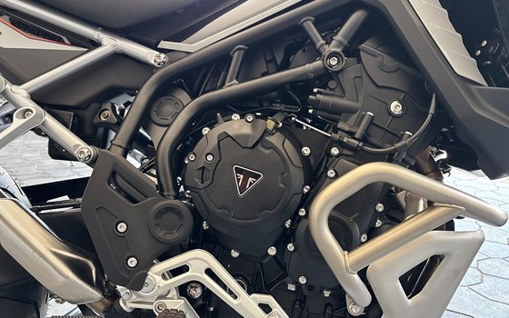 Neufahrzeug Triumph Tiger 900 Rally Pro - Bild 5