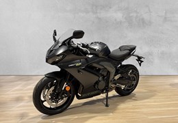 Neumotorrad Triumph Daytona 660