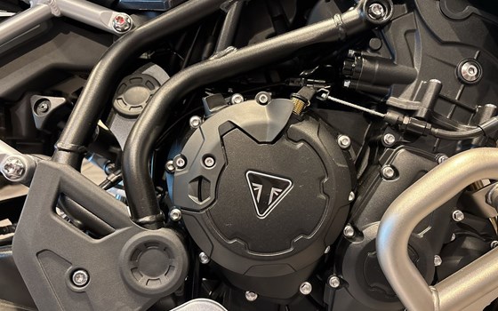 Neufahrzeug Triumph Tiger 900 Rally Pro - Bild 6