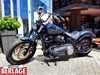 Harley-Davidson Softail Street Bob FXBB 42
