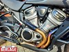 Harley-Davidson Pan America 1250 Special 43
