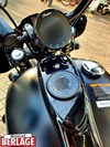 Indian Chief Dark Horse 44