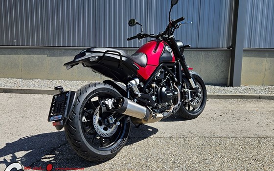 Gebrauchtmotorrad Benelli Leoncino 500 - Bild 5 Gebrauchtmotorrad Benelli Leoncino 500 - Bild 5
